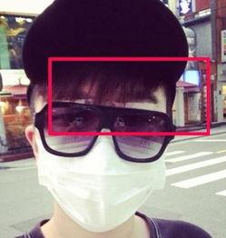 主持人张大大个人资料,从主持人到人气明星的蜕变之路