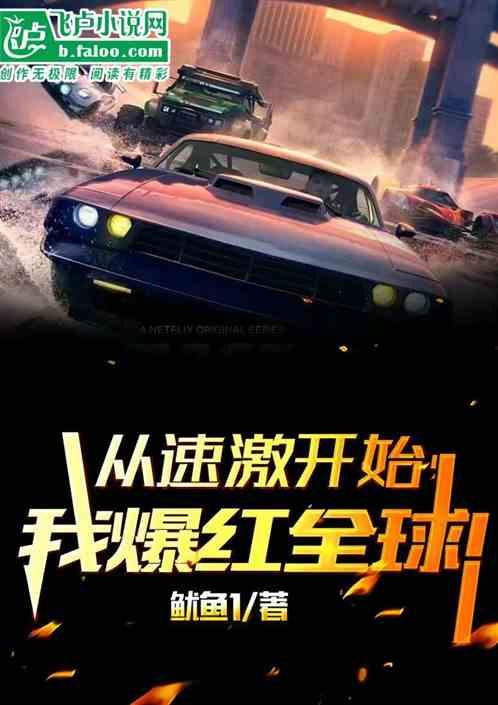 娱乐小说 盖尔加朵,娱乐小说中的璀璨星辰